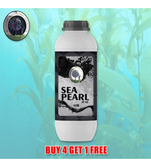 Sea Pearl - 1 Litre  (Buy4Get1Free)